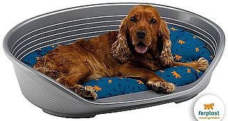 מיטה דלוקס 8 לכלב+ מזרון