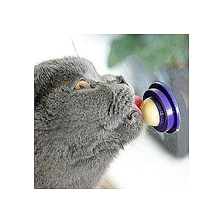 כדור ליקוק פינוק לחתול Cat Snacks Catnip ,Healthy