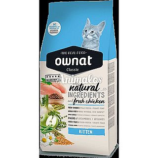 אונט חתול awnat - קיטן 4 ק"ג